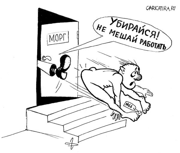 Карикатура "Убирайся", Дмитрий Герасимов