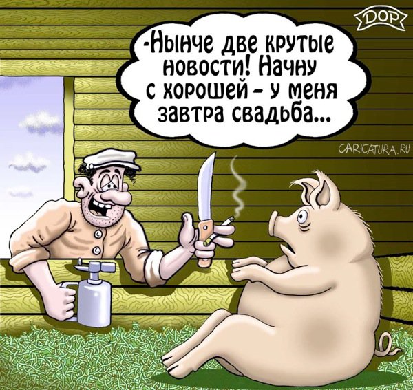 Карикатура "Две новости", Руслан Долженец