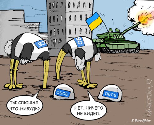 Карикатура "ОБСЕ ", Иван Бояджиев
