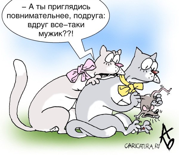 Карикатура "Домашние кошечки", Андрей Бузов