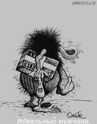 Карикатура "Идеальный мужчина", Олег Горбачев