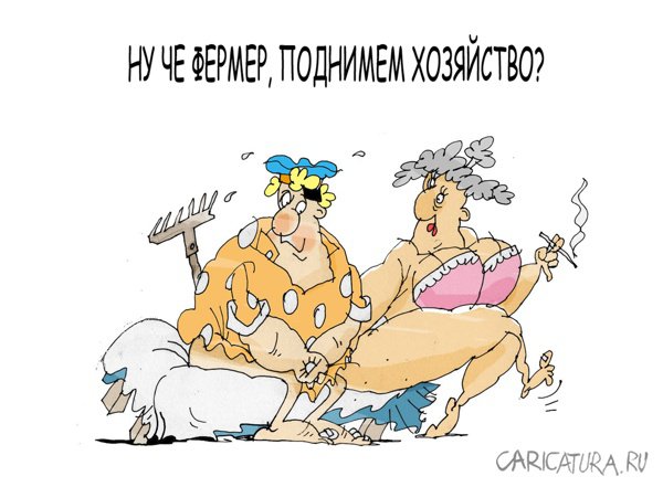 Карикатура "Хозяйство", Андрей Климов