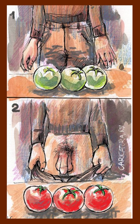 Карикатура "Как быстро сделать помидоры красными", Георгий Ключник