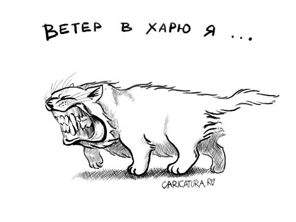 Карикатура "Ветер", Алексей Маков