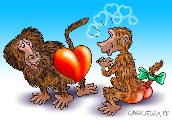 Карикатура "Признание в любви", Андрей Саенко
