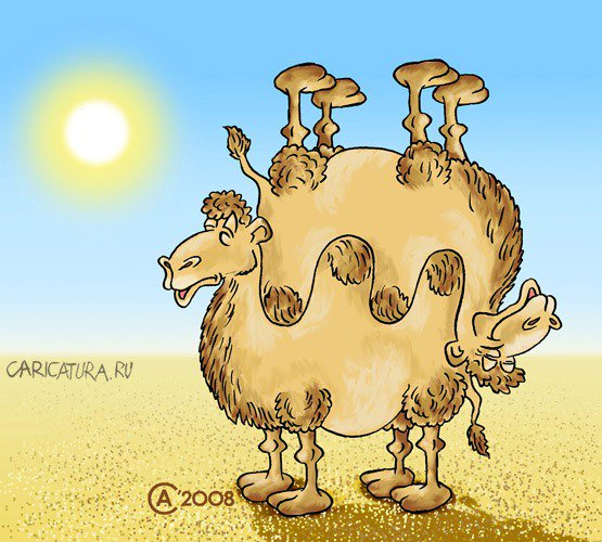Карикатура "Верблюд", Андрей Саенко