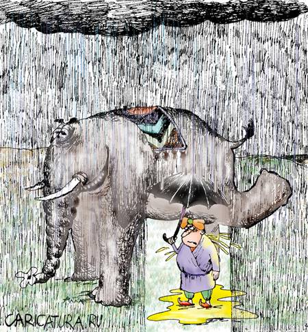 Карикатура "Мокрая месть ", Алла Сердюкова