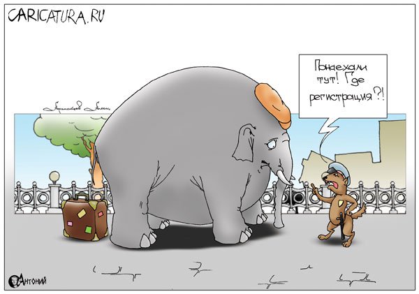 Карикатура "Слон и моська", Антон Афанасев