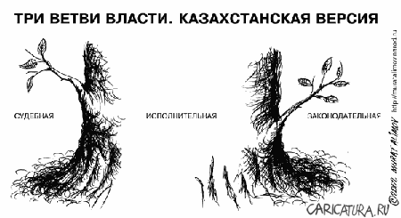 Карикатура "Три ветви власти", Мурат Алимов