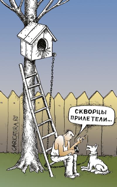 Карикатура "Скворцы прилетели", Иван Анчуков