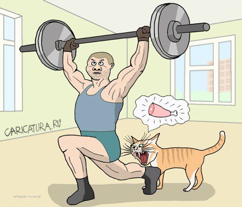 Карикатура "Голодный кот", Артемий Гусаров