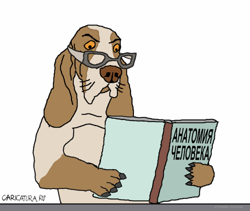 Карикатура "Собака Павлова", Артемий Гусаров