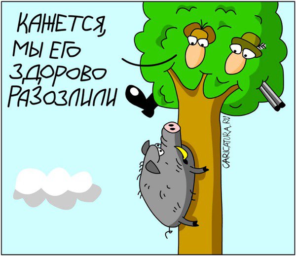 Карикатура "Кабан", Дмитрий Бандура