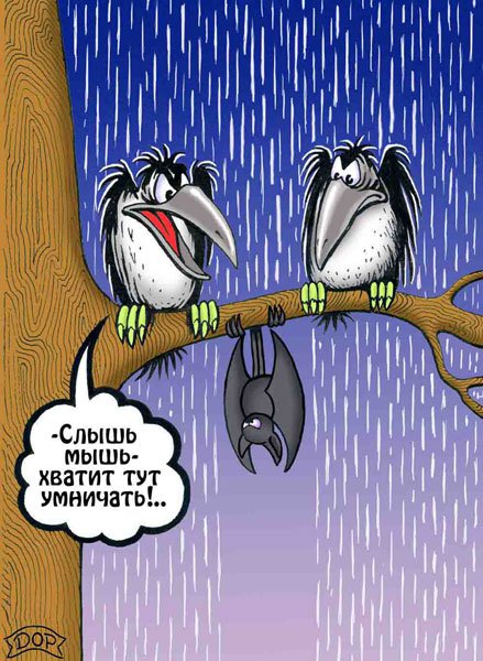 Карикатура "Под дождем", Руслан Долженец