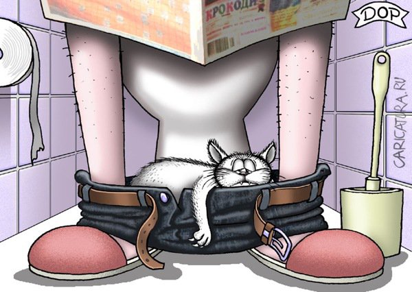 Карикатура "Утренний туалет", Руслан Долженец