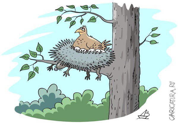Карикатура "Гнездо", Валентин Дубинин