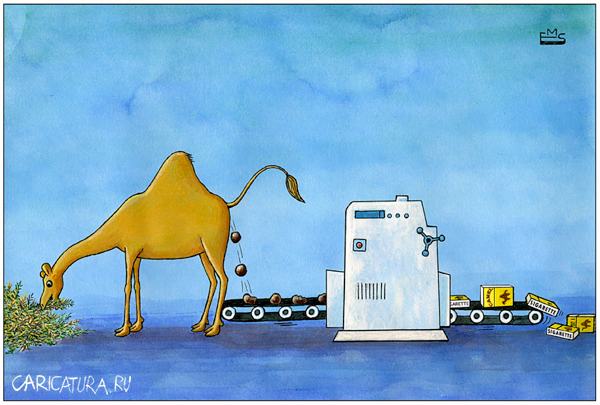 Карикатура "Camel", Махмуд Эшонкулов