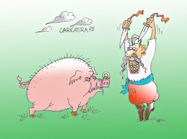 Карикатура "Украинский матадор", Евгений Романенко