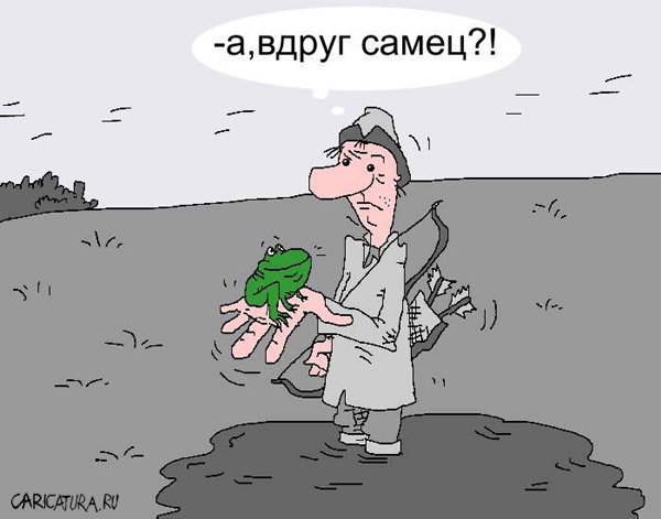 Карикатура "Самец", Евгений Докучаев
