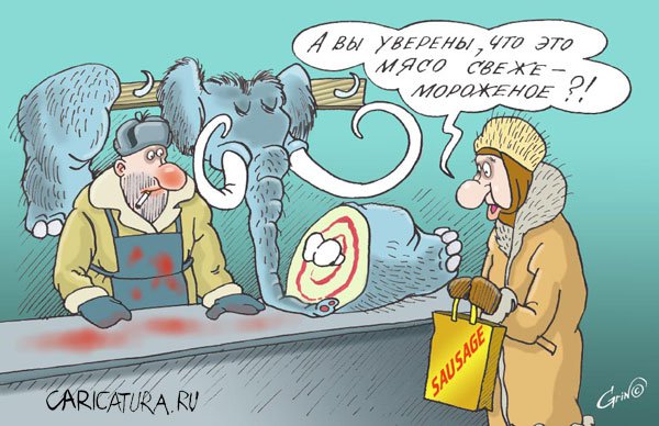 Карикатура "Свежак", Виталий Гринченко