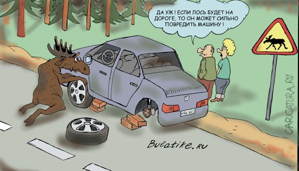 Карикатура "Осторожно лось!", Булат Ирсаев
