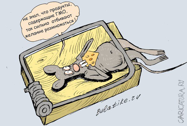 Карикатура "Умная мышь", Булат Ирсаев