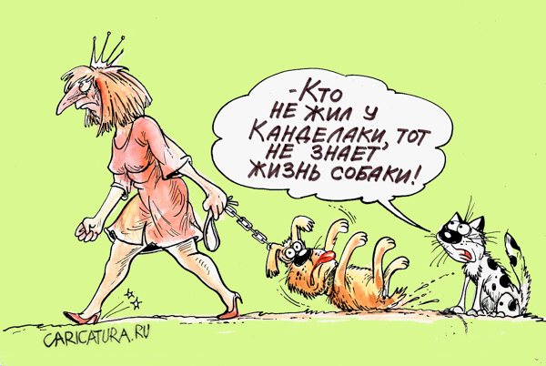 Карикатура "Канделаки", Бауржан Избасаров