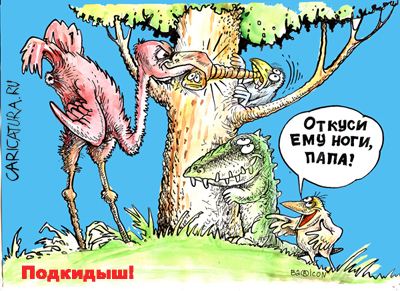 Карикатура "Подкидыш", Бауржан Избасаров