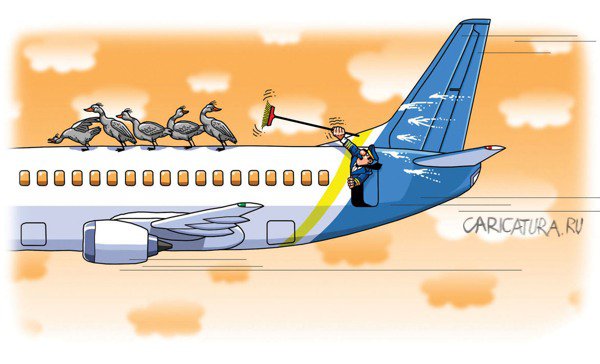 Карикатура "В полете", Игорь Конденко