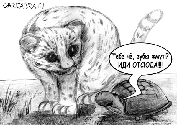 Карикатура "Размер не имеет значения", Олег Малянов