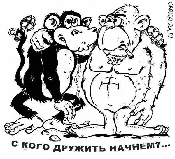 Карикатура "С кого дружить начнем..?", Виталий Найдёнов