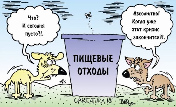 Карикатура "Кризис", Руслан Валитов