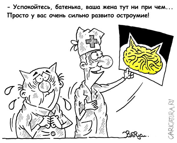 Карикатура "Остроумие", Руслан Валитов