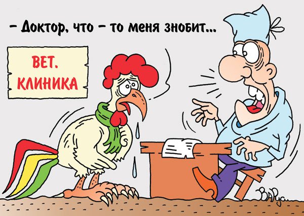 Карикатура "Птичий грипп", Руслан Валитов