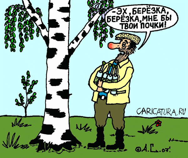 Карикатура "Березка", Александр Саламатин