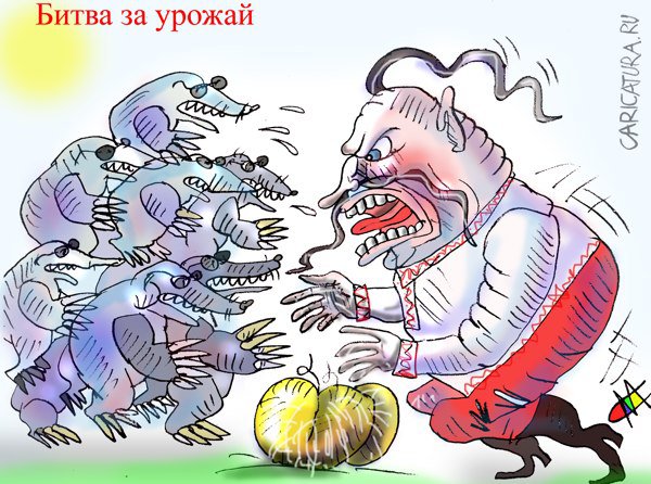 Карикатура "Битва за урожай!", Марат Самсонов