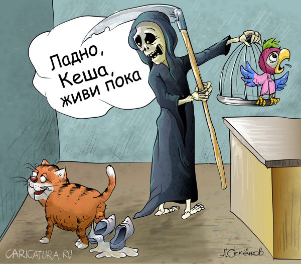 Карикатура "Попугай Кеша. Продолжение", Александр Семенов