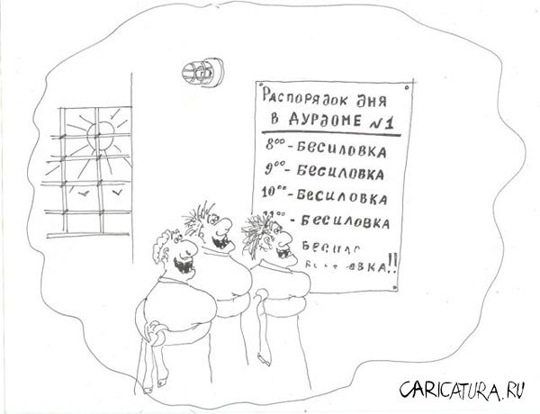 Карикатура "Распорядок дня", Дмитрий Шейнгарт