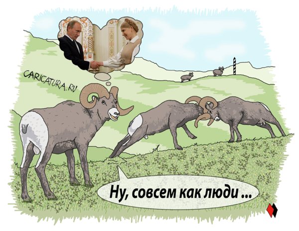 Карикатура "Барашки", Алек Шоха