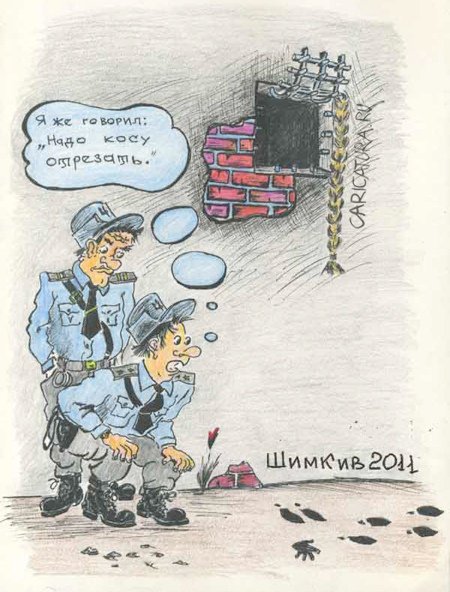 Карикатура "Газовая принцесса", Владимир Шимкив
