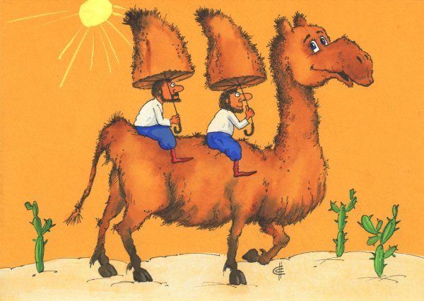 Карикатура "Прогулочный верблюд", Сергей Сиченко