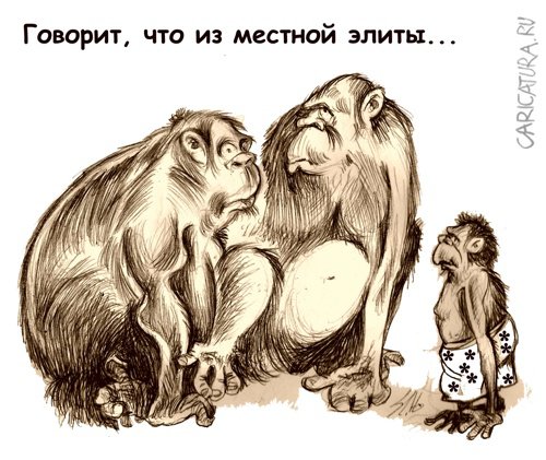 Карикатура "Элита", Вячеслав Шляхов