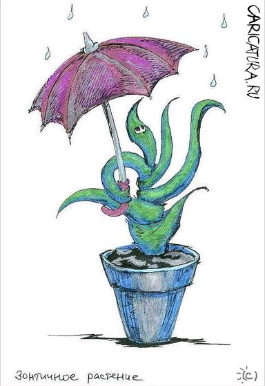 Карикатура "Зонтичное растение", Елена Пуляк