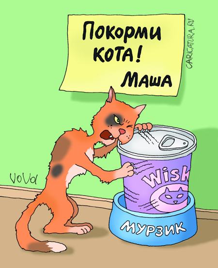 Карикатура "Дал корм коту", Владимир Иванов