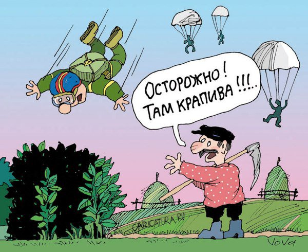 Карикатура "Осторожно - крапива!", Владимир Иванов