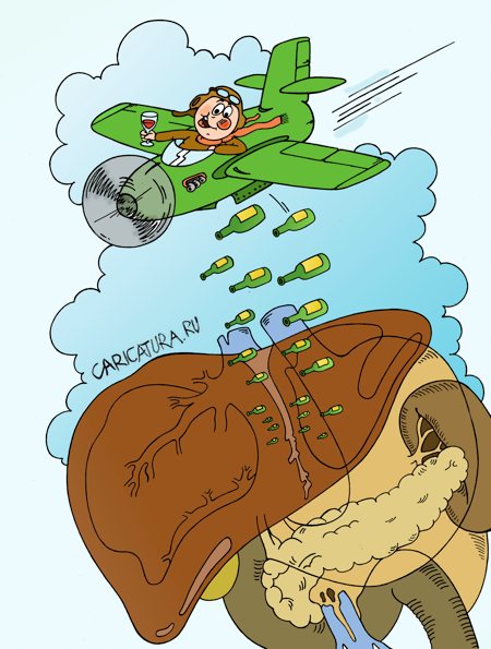 Карикатура "Летчик", Андрей Жигадло